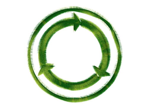 生物煉制 食物的另一個去向