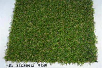 新聞 德州武城人造草坪?jiǎn)蝺r(jià)無(wú)毒環(huán)保 廠家